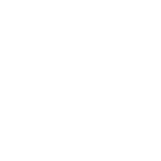 Bourkiba's emblem