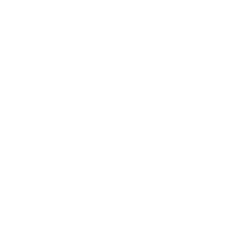 TheWaccoKidd's emblem