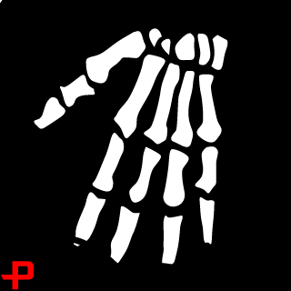 lIIlIlIllIIlll's emblem