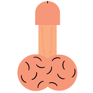 FlariusThe1st's emblem