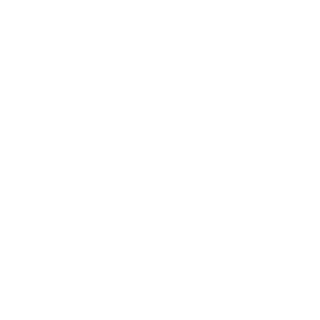 t-F3sT-t's emblem