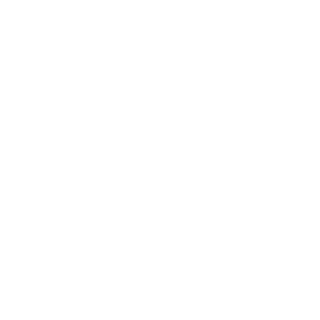 1Matizao's emblem