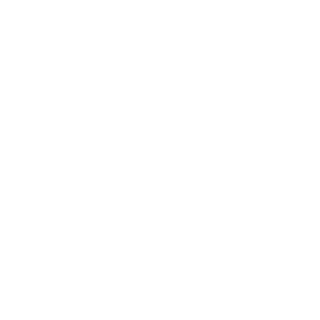 SEB4STlAN's emblem
