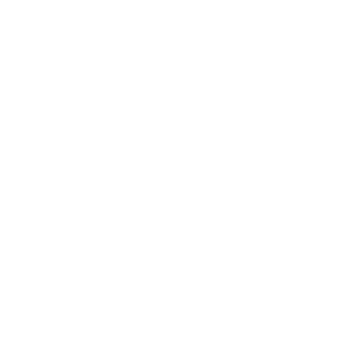 LefthandGunman's emblem