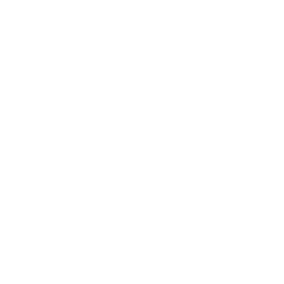 roTTao's emblem