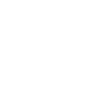 BrokenWiing's emblem