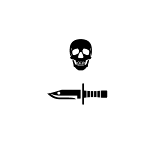 Im xShiiinez's emblem