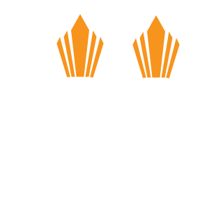 99gecko99's emblem