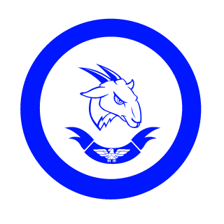 Verrsa_'s emblem