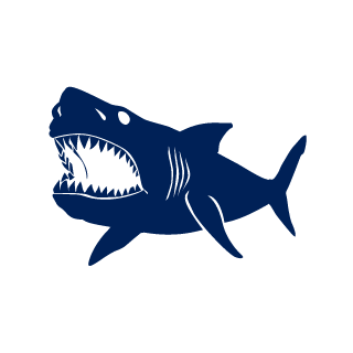 5057980's emblem