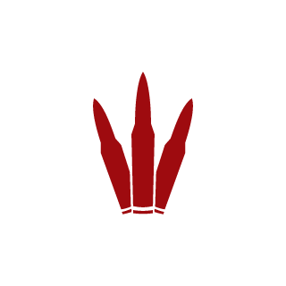 bg991's emblem