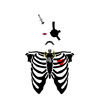 12_eFER's emblem