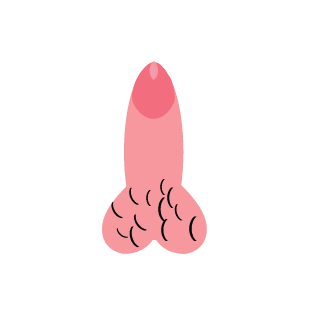NvK x Fantasy's emblem