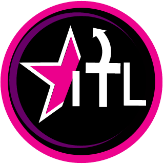 ViSioN GaMinG's emblem