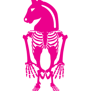 baconlover237's emblem