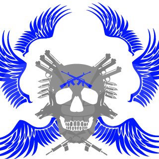 PlayyFan BIA's emblem
