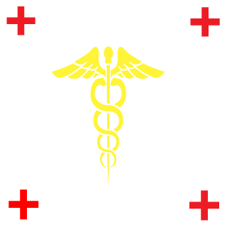 Nickitty_Slay's emblem