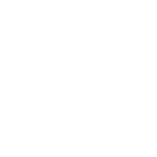 BigDookyNiner's emblem