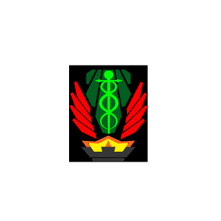 Fullmetal5Bug's emblem