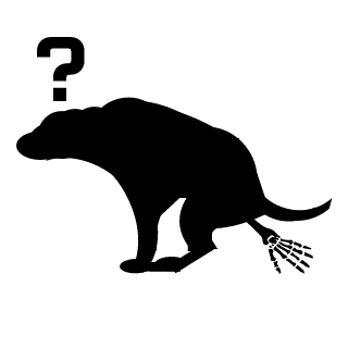 DogsVaseline's emblem