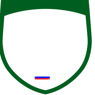 Nicroman9's emblem