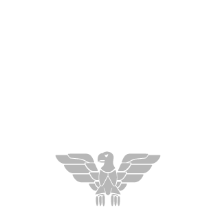 DjDyngrak's emblem
