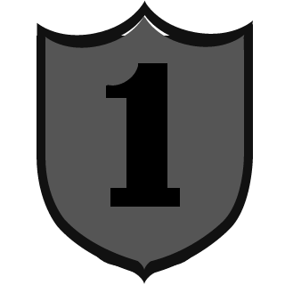 11CO_PIA's emblem