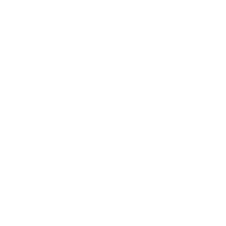 lightweight1703's emblem