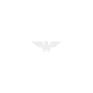 DFM_LoneWolf's emblem
