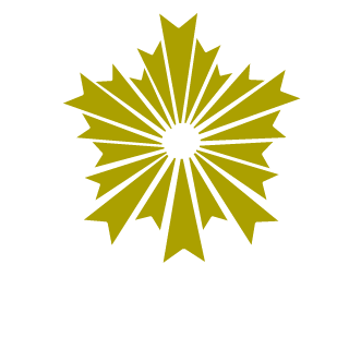 oOo-METRO-oOo's emblem