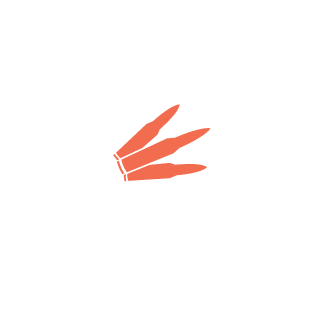 AnpathyVXLL3's emblem