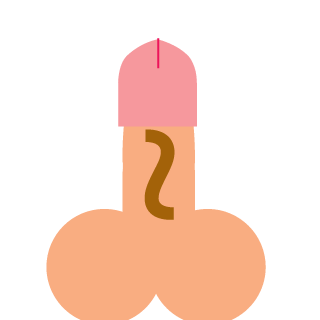 pedroafrs's emblem