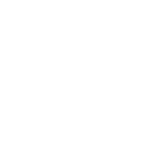 SavageDingo's emblem
