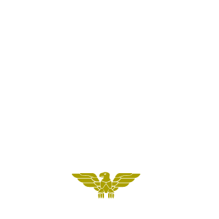 1t5fuN's emblem