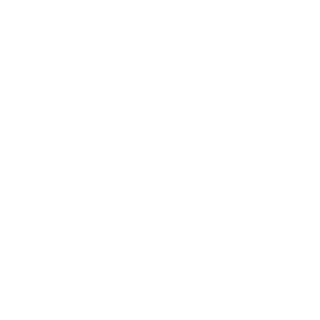 TaylorDr1ft's emblem