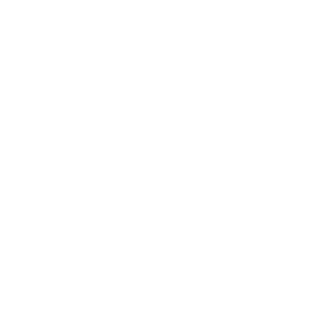 lFFl OrIGInE's emblem