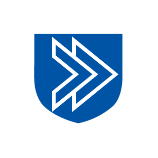 MGS4-DarkKnight's emblem
