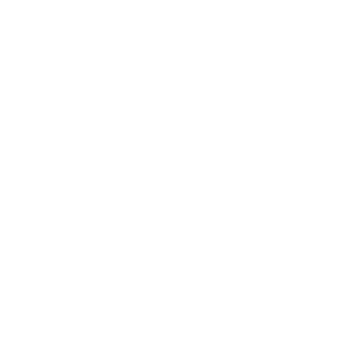 Mevix101's emblem