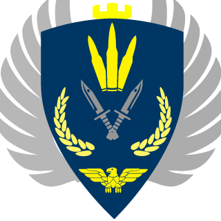 sigfchill69123's emblem