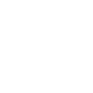 THE_A_17's emblem
