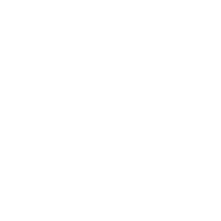 _r3neg4t_'s emblem