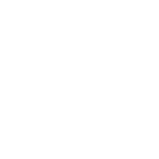 TheLostDuck's emblem