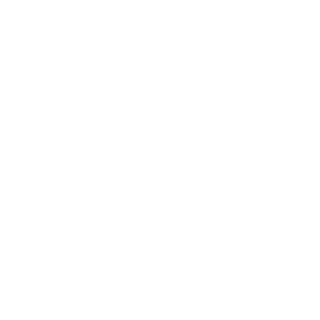 SURE1969's emblem