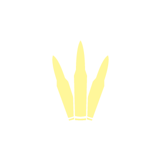 50936c140639510e's emblem