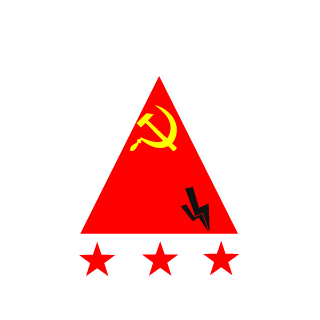 nikonovs's emblem