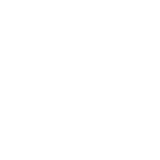 MatehLee's emblem