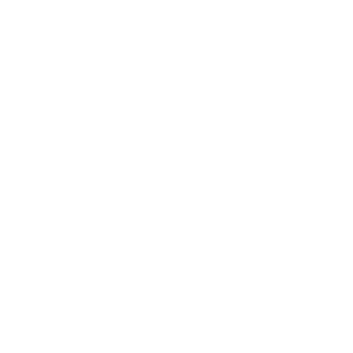 Zeeeeev's emblem