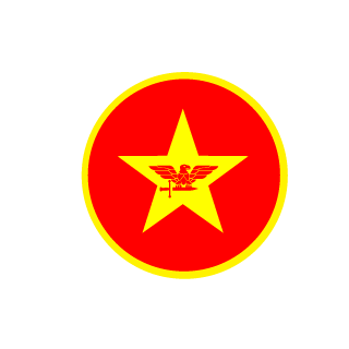 VN_vaythoi's emblem