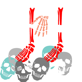 boxx46's emblem