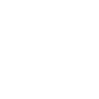 EIComandanteFort's emblem
